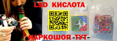 дживик Новозыбков