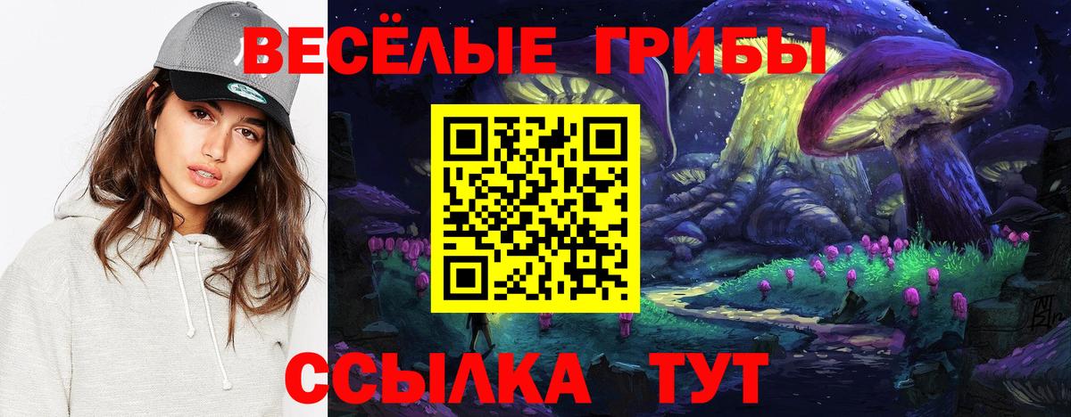 Псилоцибиновые грибы Cubensis Урай